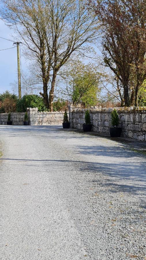 Yellow Heights Country House Tinahely Exterior foto